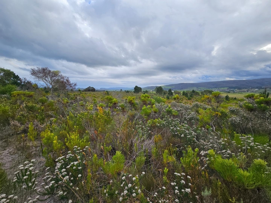 2 Bedroom Property for Sale in Baardskeerdersbos Western Cape